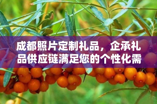 成都照片定制礼品，企承礼品供应链满足您的个性化需求