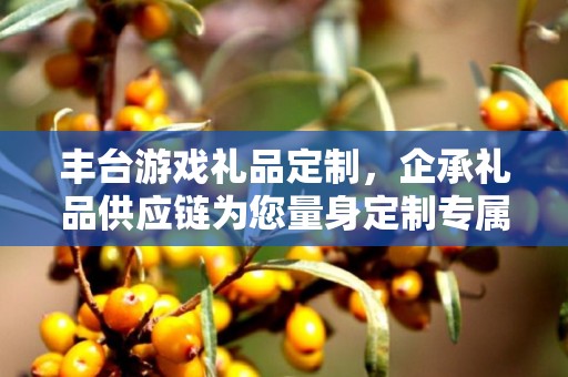 丰台游戏礼品定制，企承礼品供应链为您量身定制专属游戏礼品