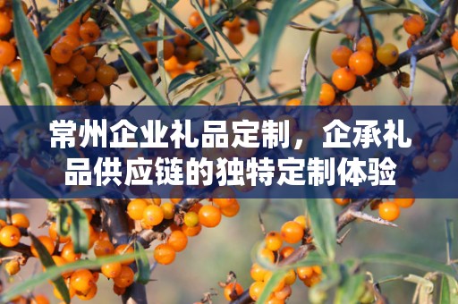 常州企业礼品定制，企承礼品供应链的独特定制体验