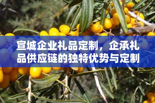 宣城企业礼品定制，企承礼品供应链的独特优势与定制之旅
