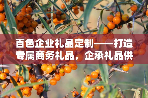 百色企业礼品定制——打造专属商务礼品，企承礼品供应链为您助力