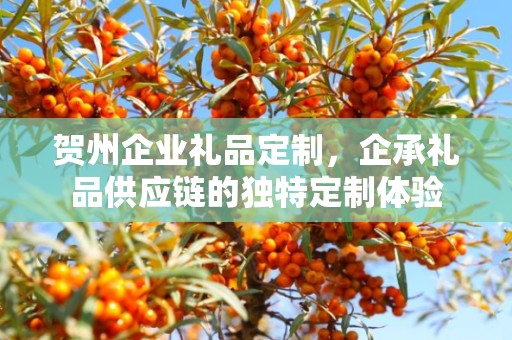 贺州企业礼品定制，企承礼品供应链的独特定制体验