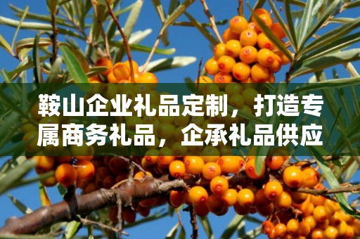 鞍山企业礼品定制，打造专属商务礼品，企承礼品供应链助力企业发展