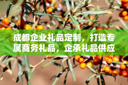 成都企业礼品定制，打造专属商务礼品，企承礼品供应链助力企业发展