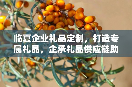 临夏企业礼品定制，打造专属礼品，企承礼品供应链助力商务发展