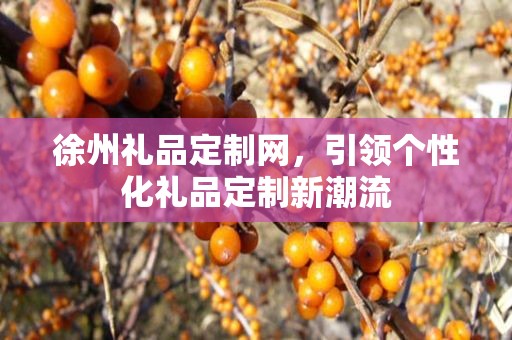 徐州礼品定制网，引领个性化礼品定制新潮流