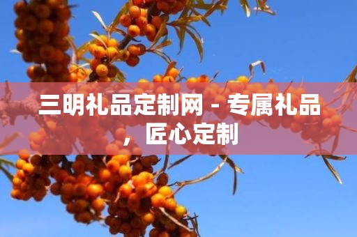 三明礼品定制网 - 专属礼品，匠心定制