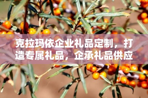 克拉玛依企业礼品定制，打造专属礼品，企承礼品供应链卓越服务
