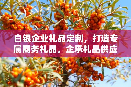 白银企业礼品定制，打造专属商务礼品，企承礼品供应链助力企业福利升级