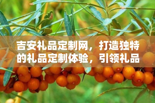 吉安礼品定制网，打造独特的礼品定制体验，引领礼品行业新潮流