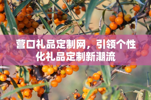 营口礼品定制网，引领个性化礼品定制新潮流
