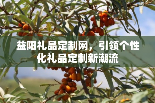 益阳礼品定制网，引领个性化礼品定制新潮流