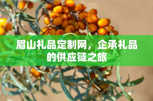 眉山礼品定制网，企承礼品的供应链之旅