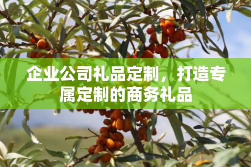 企业公司礼品定制，打造专属定制的商务礼品