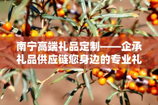 南宁高端礼品定制——企承礼品供应链您身边的专业礼品定制公司