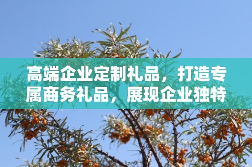 高端企业定制礼品，打造专属商务礼品，展现企业独特风采