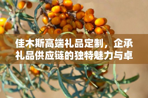 佳木斯高端礼品定制，企承礼品供应链的独特魅力与卓越服务