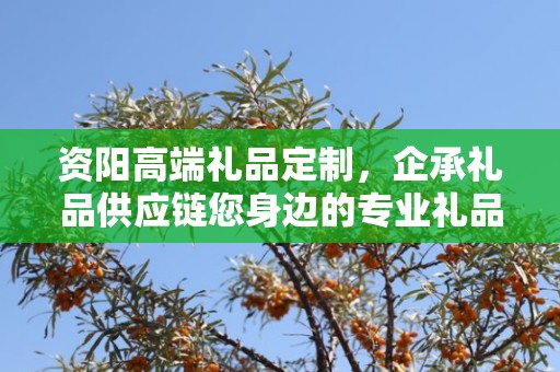 资阳高端礼品定制，企承礼品供应链您身边的专业礼品定制公司