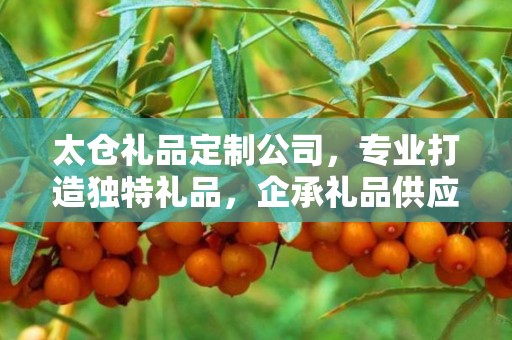 太仓礼品定制公司，专业打造独特礼品，企承礼品供应链卓越服务