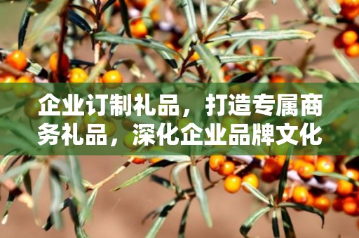 企业订制礼品，打造专属商务礼品，深化企业品牌文化