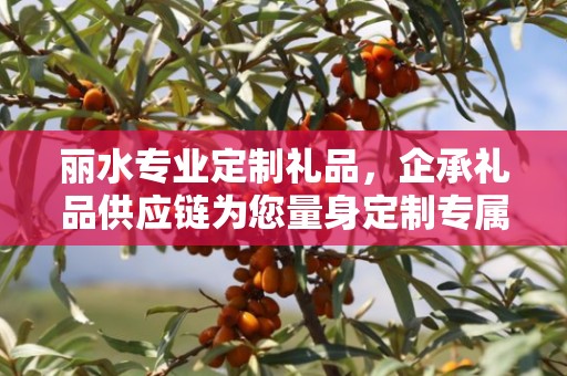 丽水专业定制礼品，企承礼品供应链为您量身定制专属礼品