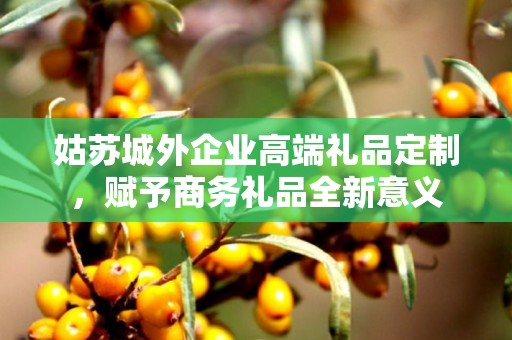 姑苏城外企业高端礼品定制，赋予商务礼品全新意义