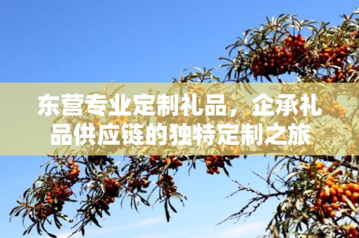 东营专业定制礼品，企承礼品供应链的独特定制之旅