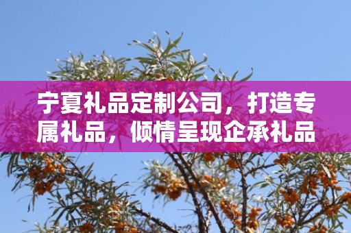 宁夏礼品定制公司，打造专属礼品，倾情呈现企承礼品供应链