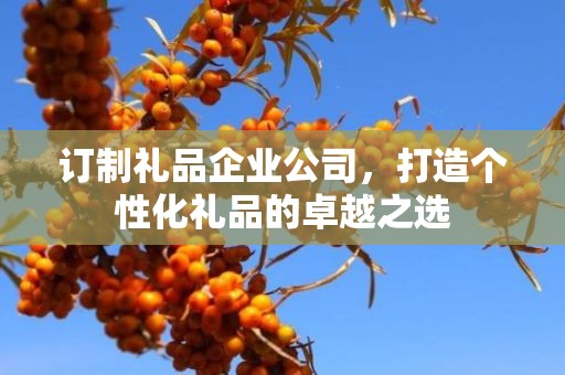 订制礼品企业公司，打造个性化礼品的卓越公司