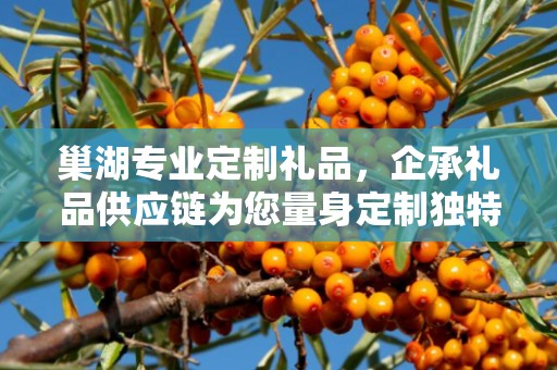 巢湖专业定制礼品，企承礼品供应链为您量身定制独特礼品