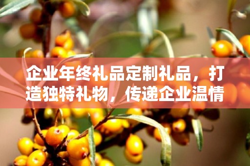 企业年终礼品定制礼品，打造独特礼物，传递企业温情