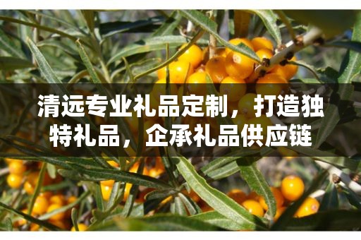 清远专业礼品定制，打造独特礼品，企承礼品供应链