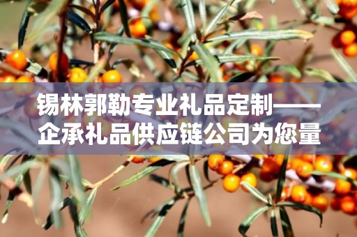 锡林郭勒专业礼品定制——企承礼品供应链公司为您量身定制的独特礼品