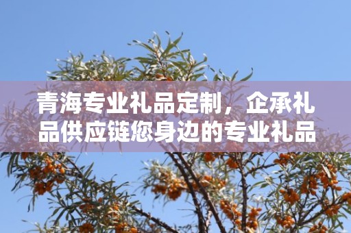 青海专业礼品定制，企承礼品供应链您身边的专业礼品定制公司