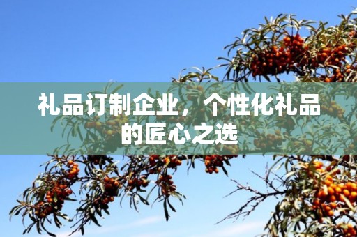 礼品订制企业，个性化礼品的匠心公司