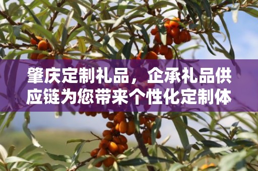 肇庆定制礼品，企承礼品供应链为您带来个性化定制体验