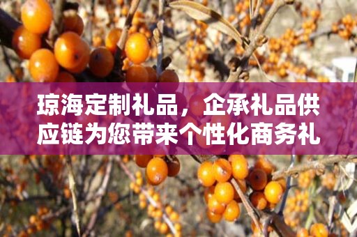 琼海定制礼品，企承礼品供应链为您带来个性化商务礼品定制体验