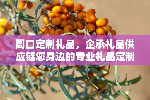 周口定制礼品，企承礼品供应链您身边的专业礼品定制公司
