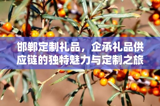 邯郸定制礼品，企承礼品供应链的独特魅力与定制之旅
