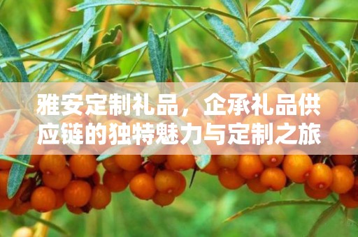 雅安定制礼品，企承礼品供应链的独特魅力与定制之旅