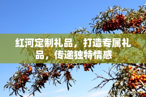 红河定制礼品，打造专属礼品，传递独特情感