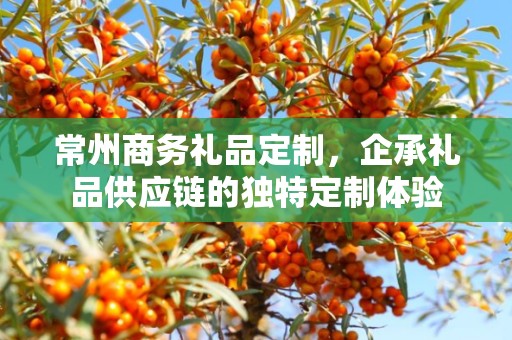 常州商务礼品定制，企承礼品供应链的独特定制体验
