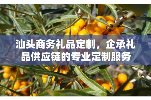 汕头商务礼品定制，企承礼品供应链的专业定制服务