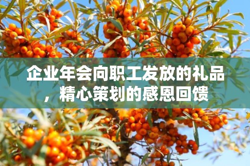 企业年会向职工发放的礼品，精心策划的感恩回馈