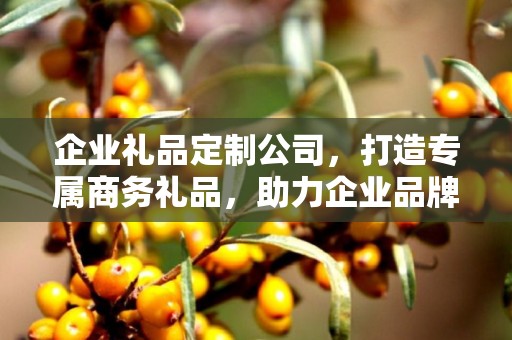 企业礼品定制公司，打造专属商务礼品，助力企业品牌发展