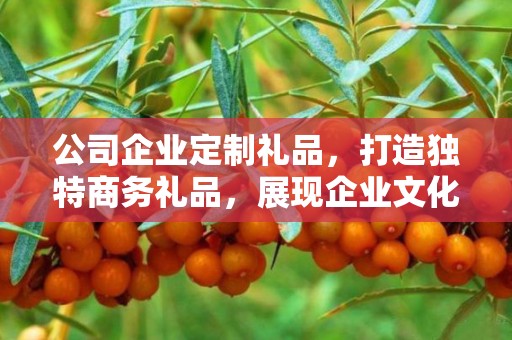 公司企业定制礼品，打造独特商务礼品，展现企业文化价值