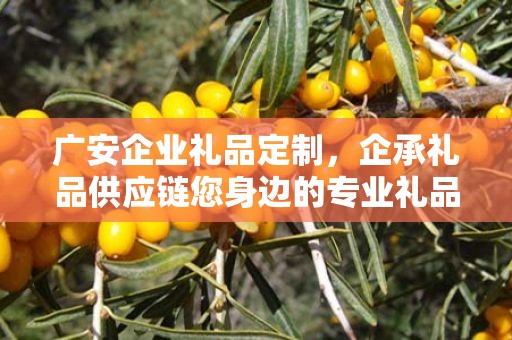 广安企业礼品定制，企承礼品供应链您身边的专业礼品定制公司