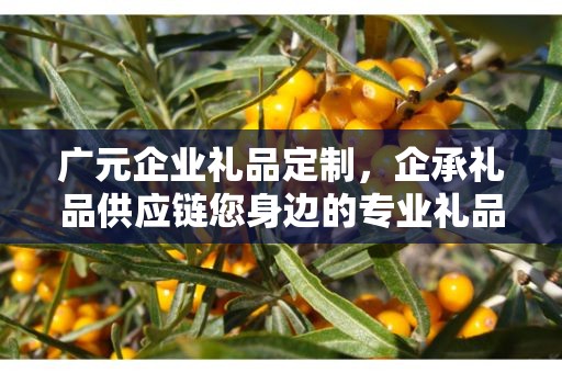 广元企业礼品定制，企承礼品供应链您身边的专业礼品定制公司