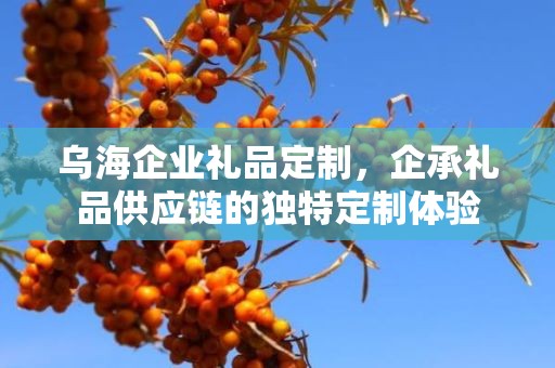 乌海企业礼品定制，企承礼品供应链的独特定制体验