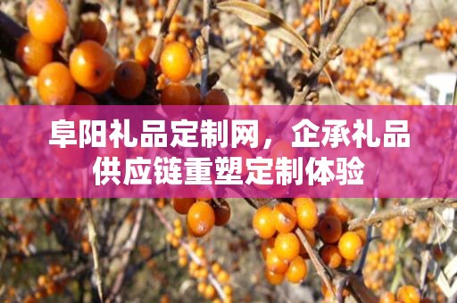 阜阳礼品定制网，企承礼品供应链重塑定制体验